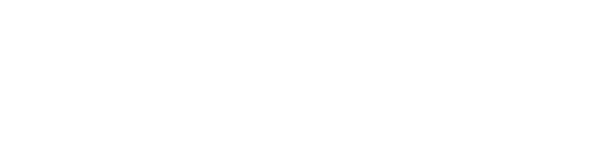Western New York IT Services